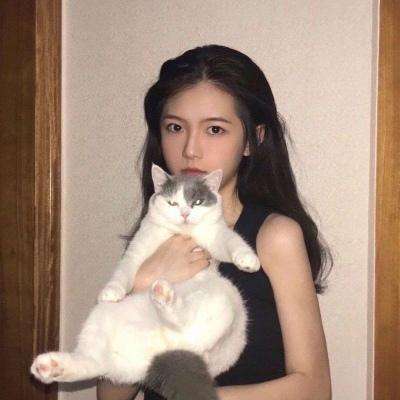 武林传说2官方版下载